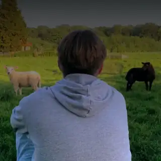 🔴 Kabel 8 *live* 🔴 Kabel 8 *live*