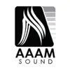 Profil d’artiste de AAAMSOUND