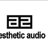 Aesthetic Audio (Detroit) artist profile