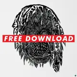 Steppas Records / Alpha Steppa / 108 Beats artist profile