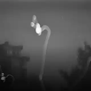 Jenten Jenten