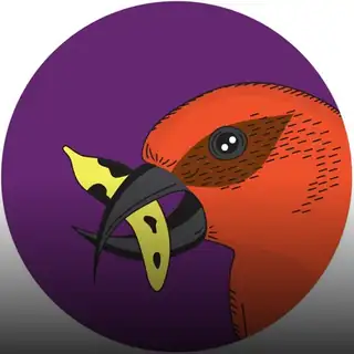 🔴 Balearic Banana