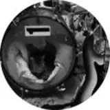 Bandcamp for 375 CEG