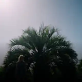Iko Chérie Iko Chérie
