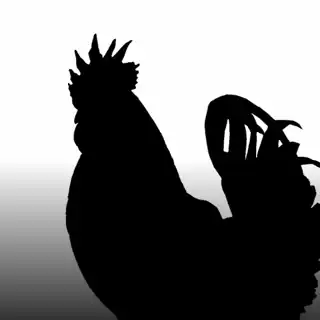 Bantam