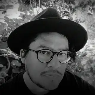 🔴 Black Flamingo Disco Driver