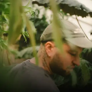 🔴 Powel b2b Bonjour Ben