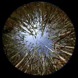 Fisheye artist profile Fisheye artist profile