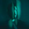 Castro (CO) artist profile