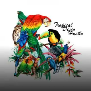 🔴 Tropical Disco Hustle