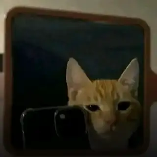 🔴 Gorge & Desaint