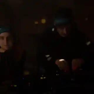 🔴 Dikarya & Edaphi