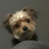 Künstlerprofil von wlc