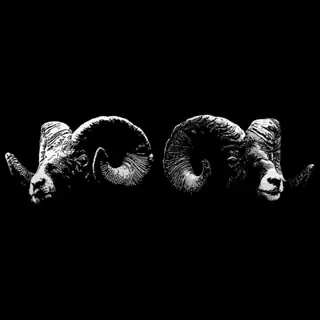🔴 DUB SHEPHERDS ft. IFI & JUNIOR ROY