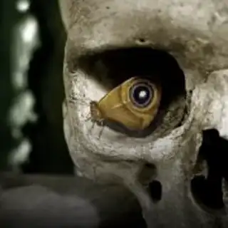 🔴 Nik, Tobi & Enzio