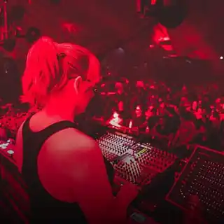Darwin b2b Erika