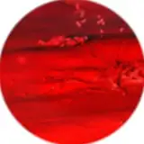Profil d’artiste de Faik Muchs