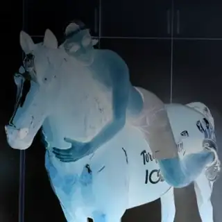 🔴 Fid Codo 🔴 Fid Codo