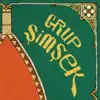 Profil d’artiste de Grup Şimşek