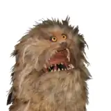 Dr Fizzgig artist profile