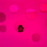 Profil artysty jelena