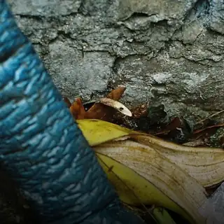 🔴 David Silver b2b Juli N More