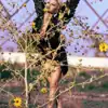 Karina artist profile