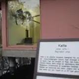 katta artist profile