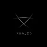 Khaled Hanafi artist profile