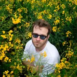 Herr Krank artist profile