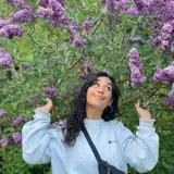 Maroush artist profile