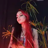 contredanse artist profile contredanse artist profile