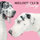 Melody Club artist profile