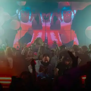 🔴 Mikey Biemans b2b Disconova