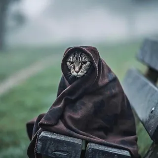 🔴 Jøn b2b Bakaro