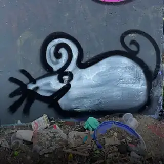 🔴 Aber DJ b2b Ne555