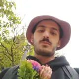 o K artist profile o K artist profile
