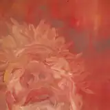 Ommi Rafke artist profile