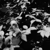 Otz artist profile