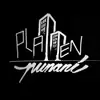 plattenpunani artist profile