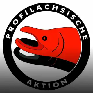Profilachse Profilachse