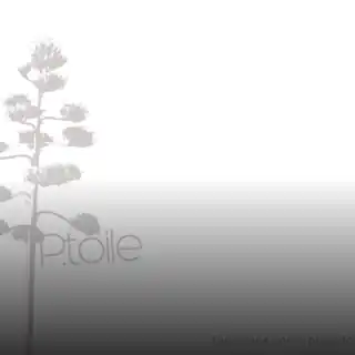 p.toile opens Wohnzimmer at 17:00