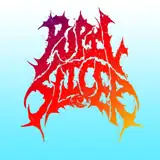 Pupil Slicer artist profile