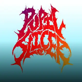 Pupil Slicer