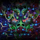 supergroover artist profile