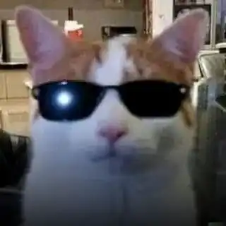 Sebo Sebo