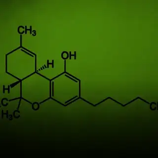 🔴 Voodoos & Tabooos