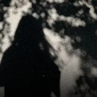 Tasha Tasha