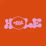 Künstlerprofil von The Hole