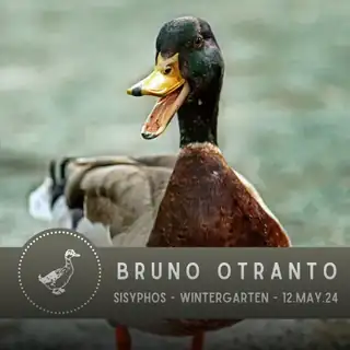 Lineup dla Wednesday 8 May 2024 Until Monday